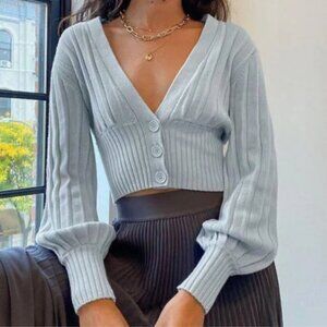 Aritzia Light Blue Cardigan Sweater